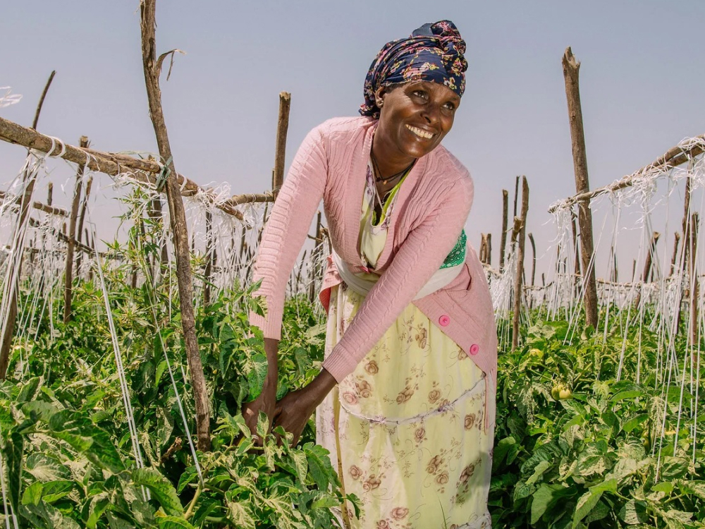 Een glimlachende vrouw in een roze vest werkt in een groene moestuin met ondersteunende houten stokken.