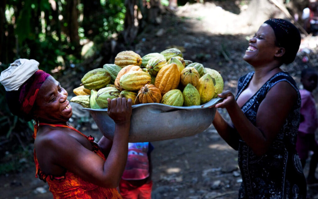 Twee lachende vrouwen dragen samen een grote metalen schaal gevuld met vers geoogste cacaovruchten in een bosrijke omgeving.