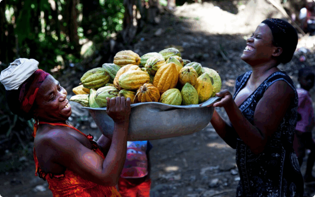 Twee lachende vrouwen dragen samen een grote metalen schaal gevuld met vers geoogste cacaovruchten in een bosrijke omgeving.