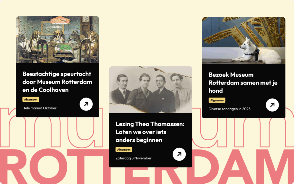 Verschillende activiteiten van de website van Museum Rotterdam uitgelicht.