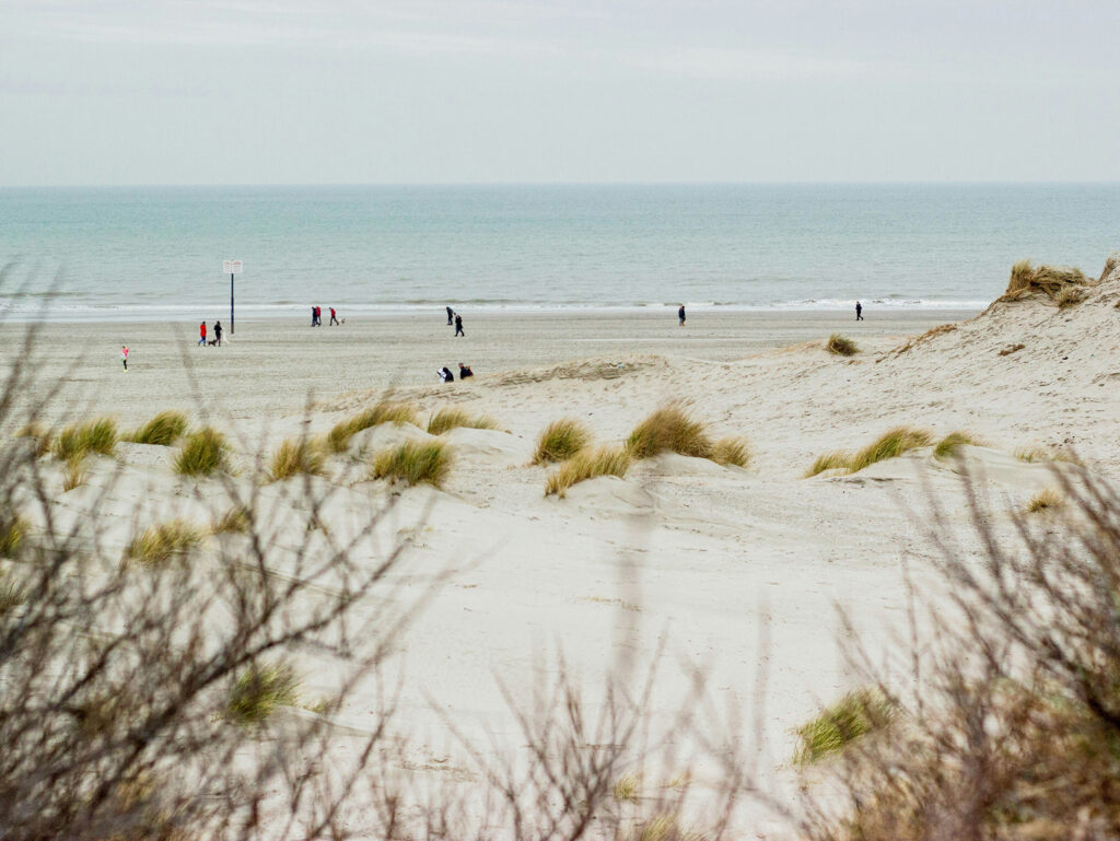 Wijds duinlandschap met helmgras en verre wandelaars op het strand aan zee.